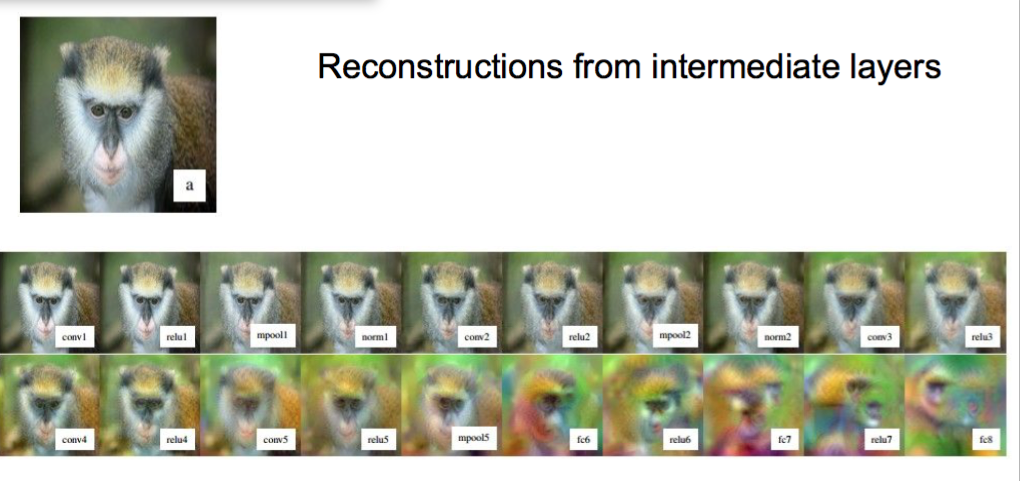 Reconstructions from the representation after last last pooling layer